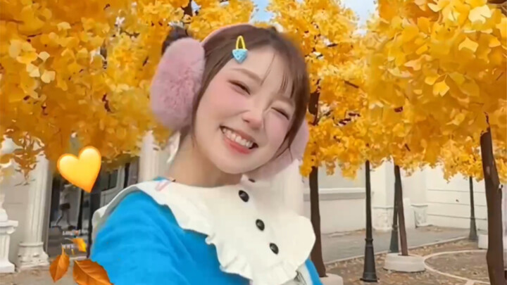 Warna-warni adalah pemanis musim gugur dan dingin!