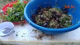 Gỏi cua nhảy món ăn bằng cua sống của người tây bắc | Crab salad dish with raw northwestere crabs