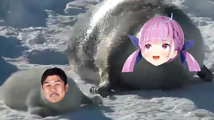 Huge Debu Minato Aqua