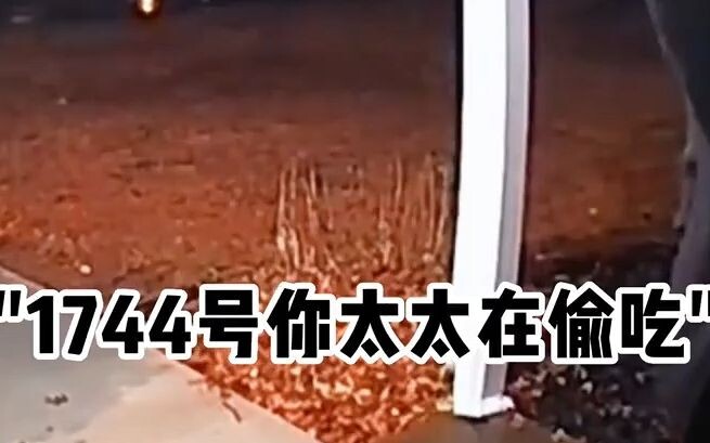 Dia benar-benar berusaha keras untuk memperingatkan, tapi ini memang cuma kesalahpahaman.