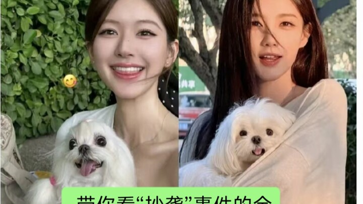 Sau khi đào sâu vụ việc tạo hình của Lý Nhất Đồng bị cho là “sao chép”, tôi phát hiện ra rằng thực c