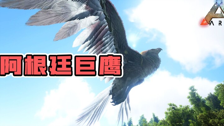 ARK: Survival Evolved: Elang Raksasa Argentina! Sang penguasa langit era purba malah dijadikan pesaw