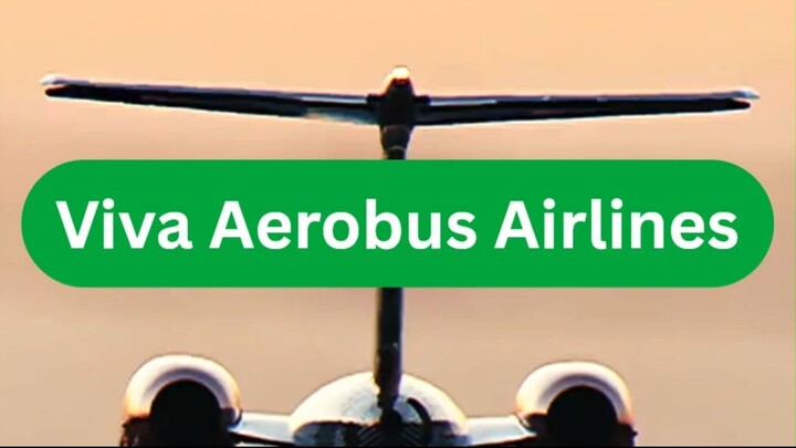 What Do Travelers Need to Know About viva Airlines? ✈️
