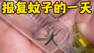 有趣