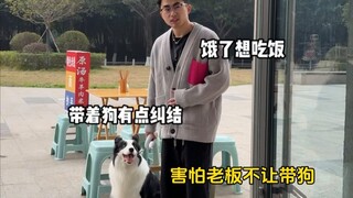 Momen yang menenangkan bagi pemilik anjing