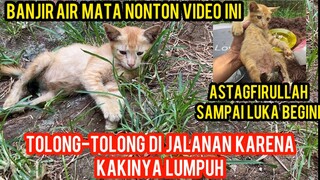 Allahu Akbar Anak Kucing Tolong-Tolong Karena Kakinya Lumpuh Minta Di Adopsi Butuh 2 Jam Perjalanan.