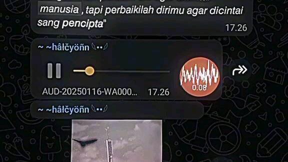 "jangan memperbaiki diri agar dicintai manusia,