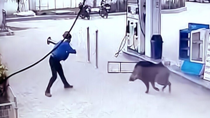 รวมคนโง่ในที่ทำงาน 86