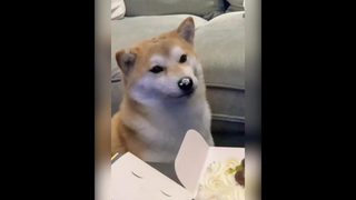 อร่อยมั้ยหล่ะ