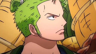 law think zoro's like luffy