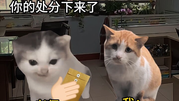 ฉันคิดว่ามันจะเป็นการลงโทษตลอดชีวิต