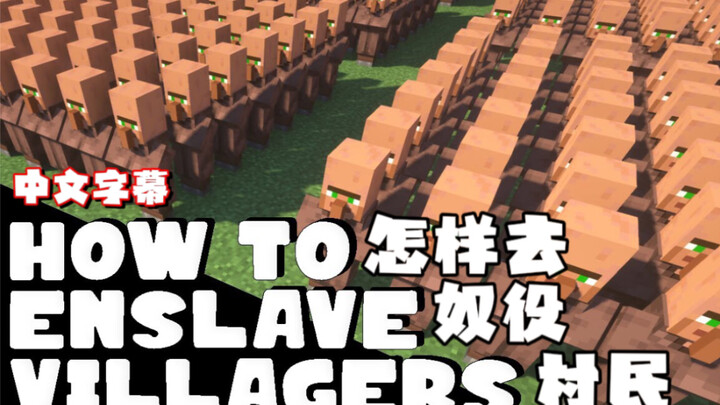 【熟肉/Grox实况/MCYT】怎么奴役Minecraft中的村民？