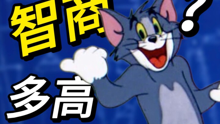 I actually calculated Tom Cat’s IQ! The result is as high as...