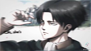 jodoh saya levi