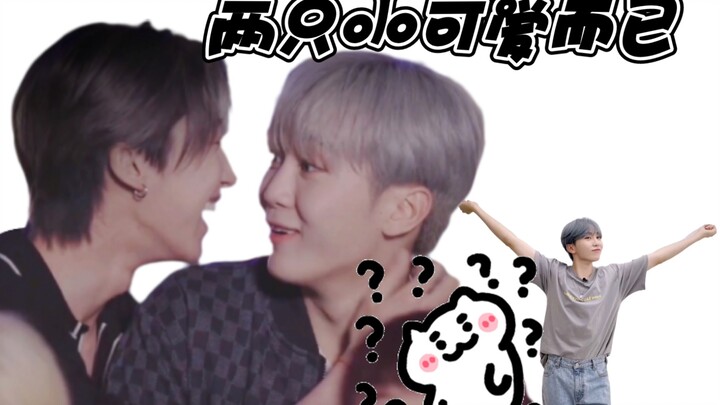 【SEVENTEEN】Little Ba is totally charmed by the sweetness and cuteness.