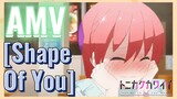 [Shape Of You] AMV