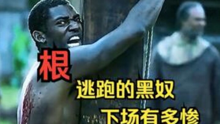 Những nô lệ da đen đầy khí phách bất mãn trước ách nô dịch của người da trắng, bỏ trốn rồi bị bắt lạ