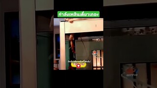 กำลังเพลินเดี๋ยวเถอะ