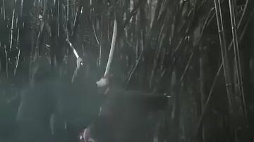 #SharingIsCaring #539 #UploadRandomVidsJustForDiversion #ChineseMiniDrama #JustWatch 😉