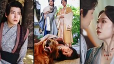 หวังหยาง จิตรกรทะลุมิติมาเป็นคนเลี้ยงสุนัข