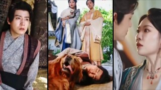 หวังหยาง จิตรกรทะลุมิติมาเป็นคนเลี้ยงสุนัข