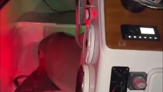 A shark suddenly jumped onto the boat of a foreign fishing buddy. What...what should he do?