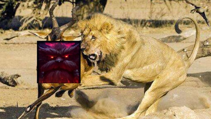 “Episode ini bakal meledak, Aion!”