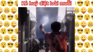 Huỷ diệt muỗi