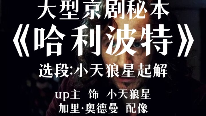 大型京剧秘本《哈利波特》选段:小天狼星起解