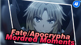 Fate/Apocrypha Cut | Mordred Moments Cut_B4