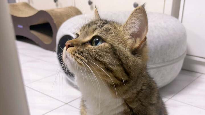 จมูกเล็กน่ารักขยับไปมา