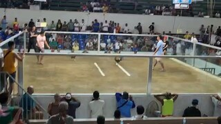 4hits argem col. 2nd fight win