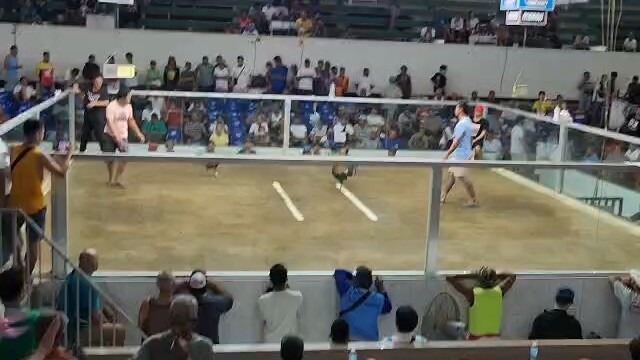 4hits argem col. 2nd fight win