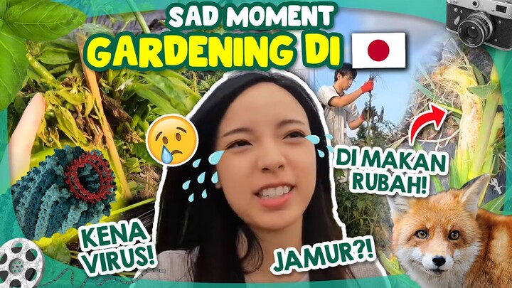 Dimakan Rubah? Kompilasi Sad Moment Saat Gardening di Jepang 😢