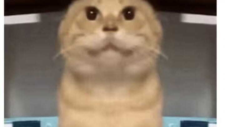 Dream Chasing with Hakimi | Part 3: Heartbreaking Wanderings & Endless Waiting