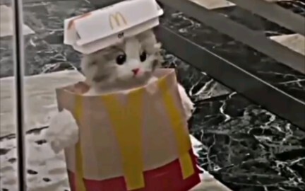 French Fries Mimi
