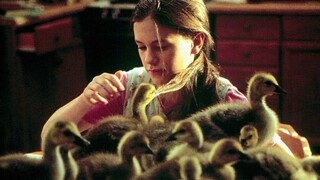 Fly Away Home (1996)