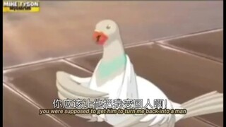 翻译的时候笑得想死