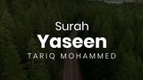 Surah Yaseen | Qari Tareq Mohammed