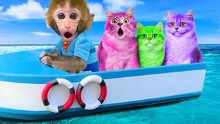 Monkey Baby Bon Bon Rescues Kittens and Swims with Ducklings in the Pool