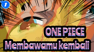 ONE PIECE|Lalu kenapa jika kau melawan dunia? Kami disini hanya untuk membawamu kembali_1