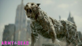 "Zombie Tiger" Scene | Army of the Dead