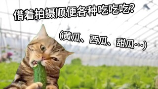 00后入职农业公司  第一天就想吃垮它？？