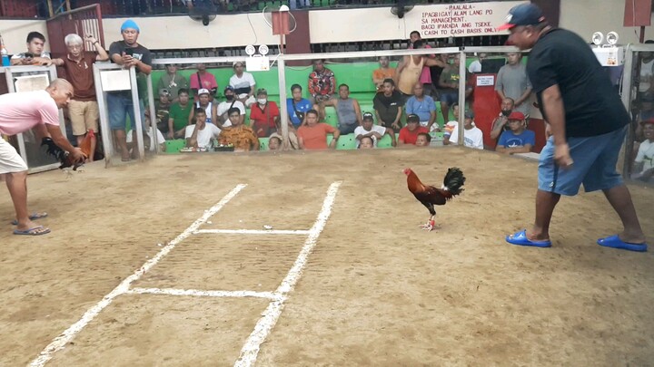 2hits ulutan win champions