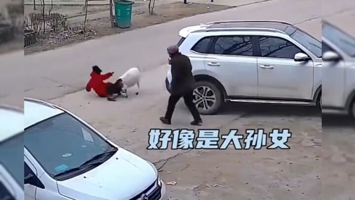 Keluarga bisa tertawa seumur hidup