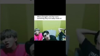 It'll be fun, they said😌#straykids #bangchan #changbin #han#3racha#leeknow#hyunjin#felix#seungmin#in
