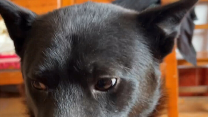 My first time owning camera movements