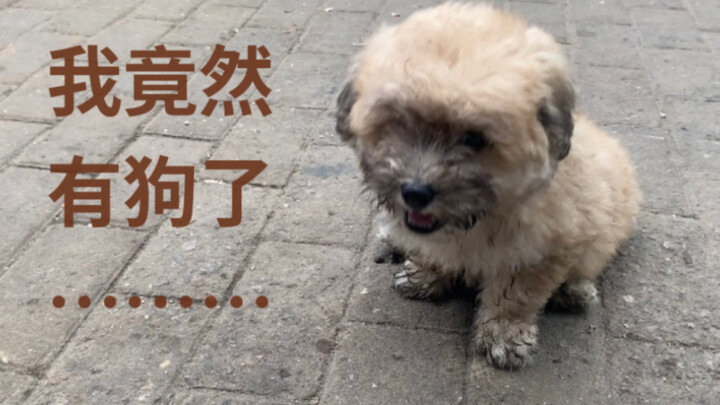 ฉันเก็บหมาจรจัดน่ารักสุดๆ มาตัวหนึ่ง… พี่น้องช่วยกันตั้งชื่อให้มันหน่อยสิ