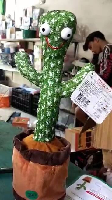 #dancing cactus