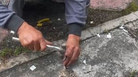 ตอนกลางวัน ลูกแมวส่งเสียงร้องขอความช่วยเหลือ นักเรียนที่กำลังงีบหลับอยู่ได้ยินเข้า จึงรีบเรียกคนมาช่